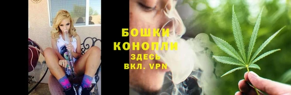 стафф Снежногорск